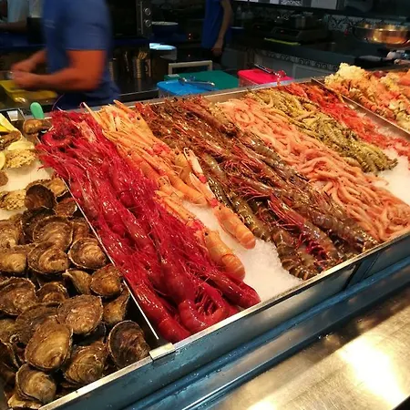 Tenerife سانتا كروز دي تينيريف